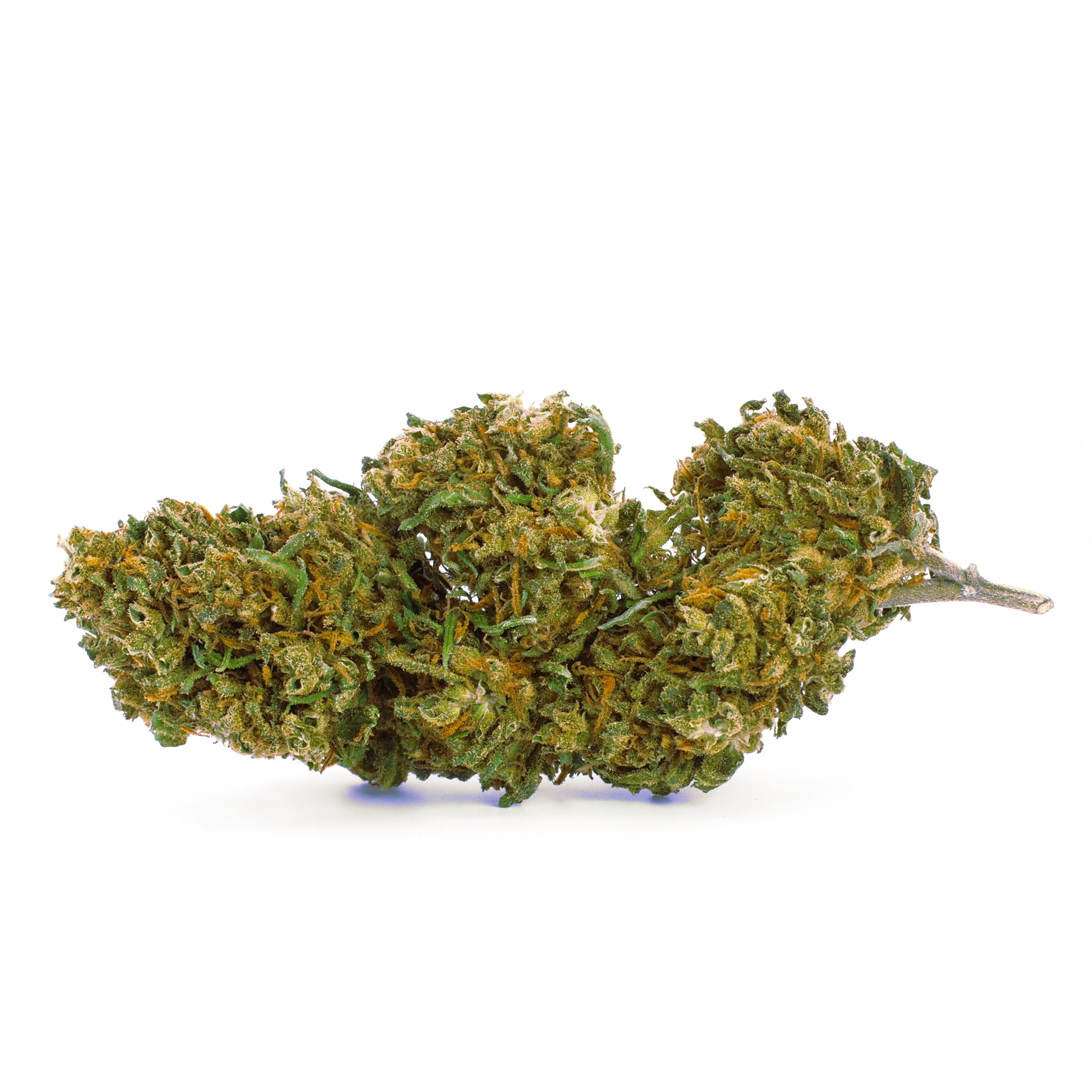 Lemon Kush